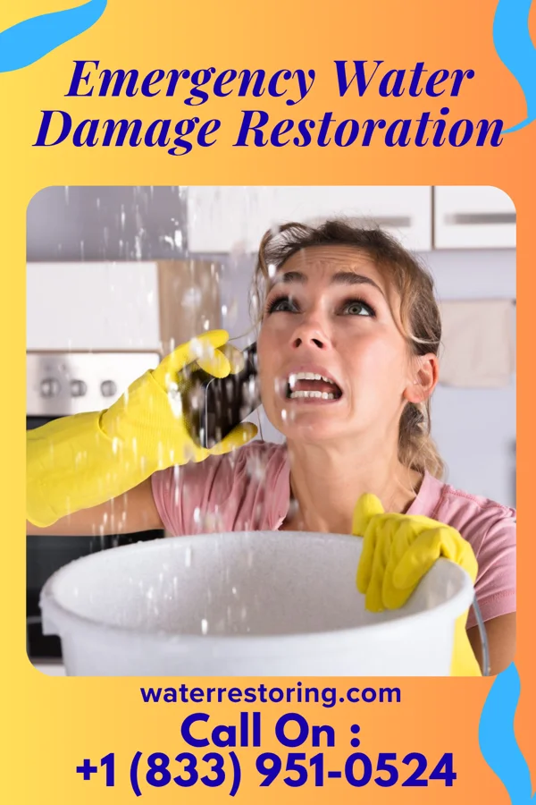 Emergency Water Damage Restoration in Avondale, PA