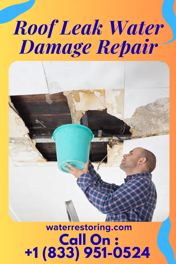 Roof Leak Water Damage Repair in Avondale, PA
