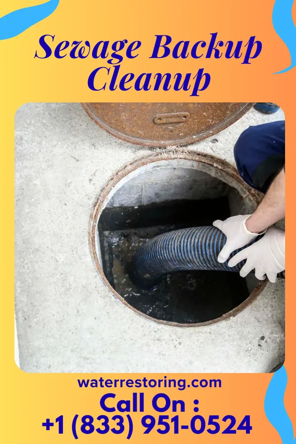 Sewage Backup Cleanup in Avondale, PA