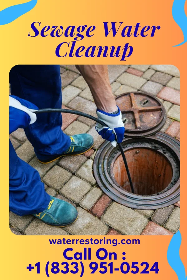 Sewage Water Cleanup in Avondale, PA